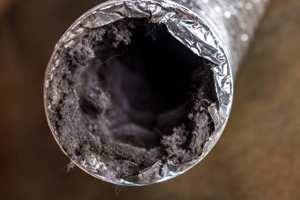 Best HVAC Duct Inspection Services  in Sterling City, TX